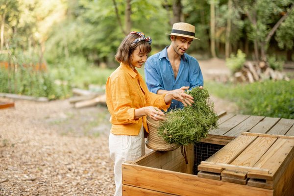How to Keep Your Balcony Pots Thriving Year-Round